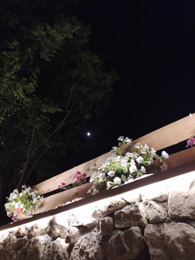 Brvnara Fairy Tale Βίλα Τσέτινιε Εξωτερικό φωτογραφία