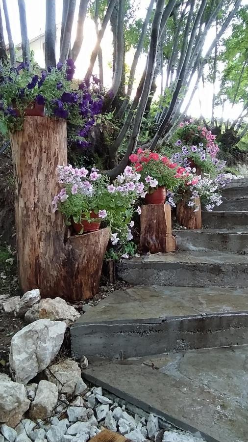 Brvnara Fairy Tale Βίλα Τσέτινιε Εξωτερικό φωτογραφία