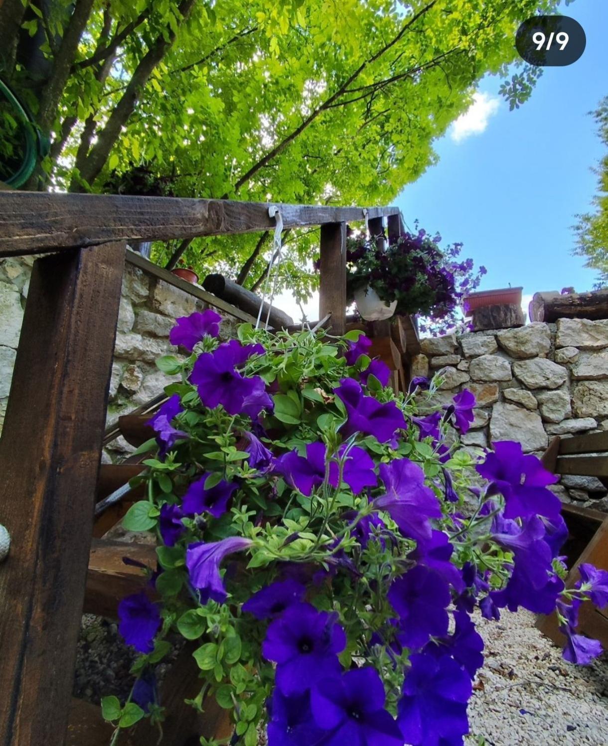 Brvnara Fairy Tale Βίλα Τσέτινιε Εξωτερικό φωτογραφία