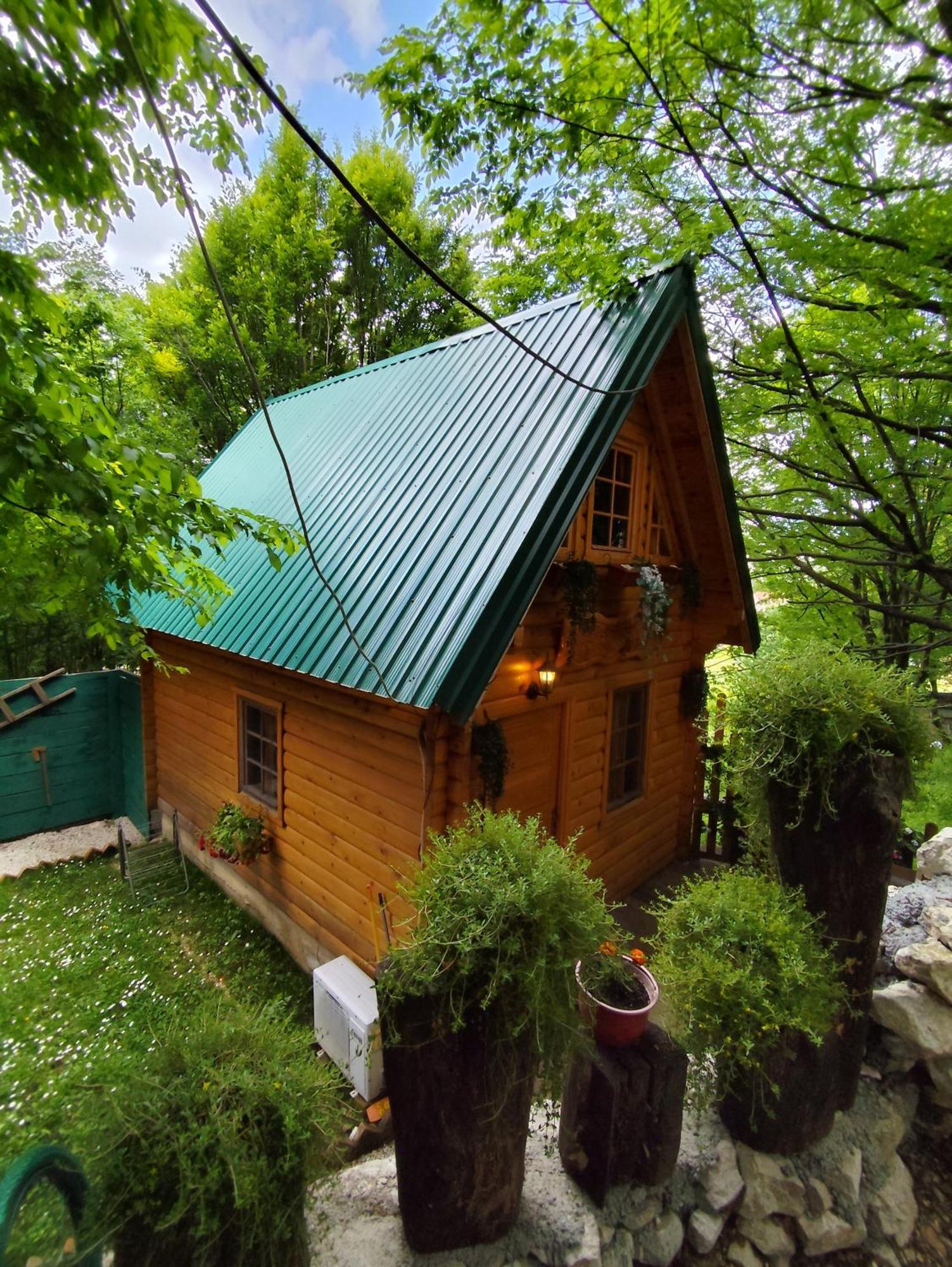 Brvnara Fairy Tale Βίλα Τσέτινιε Εξωτερικό φωτογραφία